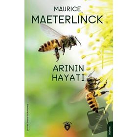Arının Hayatı - Dorlion Yayınevi