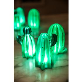 Arma House Texas Arizona Vegas Kaktüs 3D Led Işık