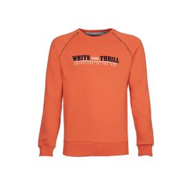 Arma K21124907001 Turuncu Bisiklet Yaka Erkek Sweatshirt