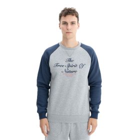 Arma K26124600301 Regular Fit Baskı Yazılı Bisiklet Yaka Gri-G10 Erkek Sweatshirt