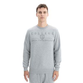 Arma K26124600801 Baskılı 3 İplik Şardonlu Regular Fit Bisiklet Yaka Gri-G10 Erkek Sweatshirt
