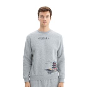 Arma K26124601001 Baskılı Regular Fit Şardonlu Bisiklet Yaka Gri-G10 Erkek Sweatshirt