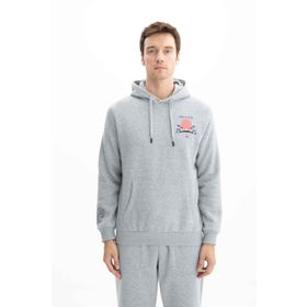 Arma K26254625001 Regular Fit Kanguru Cepli Kapüşonlu Gri-G10 Erkek Sweatshirt