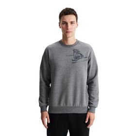 Arma K28124602401 Regular Fit Pamuk Polyester Kumaş Karışımı Bisiklet Yaka Gri-G1 Erkek Sweatshirt