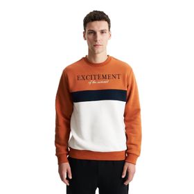 Arma K28124602701 Regular Fit Yazılı Baskılı Bisiklet Yaka Pembe-P4 Erkek Sweatshirt