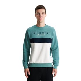 Arma K28124602701 Regular Fit Yazılı Baskılı Bisiklet Yaka Yeşil-Y6 Erkek Sweatshirt