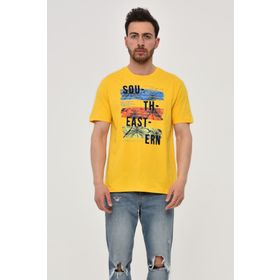 Arma Y22344402601 Sarı-S1 Bisiklet Yaka Erkek T-shirt