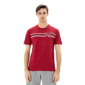 Arma Y25344869901 Bordo-B1 Büyük Beden Bisiklet Yaka Erkek T-shirt