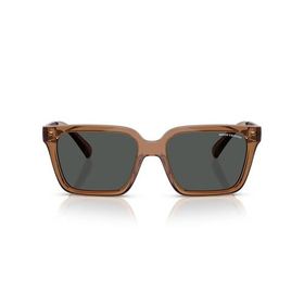 Armani Exchange AX 4147S 835887 56 Kahverengi Erkek Güneş Gözlüğü