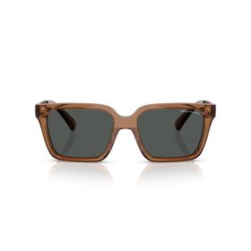 Armani Exchange AX 4147S 835887 56 Kahverengi Erkek Güneş Gözlüğü