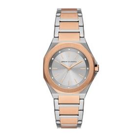 Armani Exchange AX4607 Metalik Gri Kadın Kol Saati