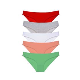 Armin Loretta 518 5 Adet Süper Eko Set Likralı Kadın Slip Külot