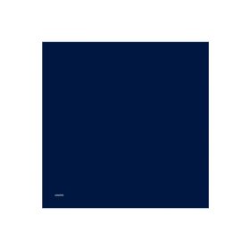 Armine 0010D02T1003 (twill) Düz Boyalı Eşarp
