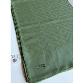 Armine 1-4875 Açık Yeşil Şal