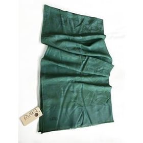 Armine 2-4881 Mint Yeşil Şal