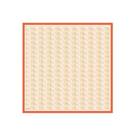 Armine 6086-09 Soft Somon Desenli Eşarp