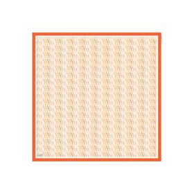 Armine 6086-09 Soft Somon Desenli Eşarp