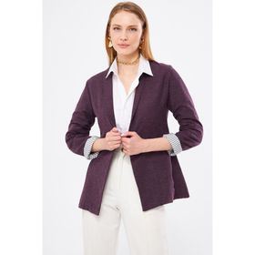Armonika ARM-22K001122 Kadın Mürdüm Kol İçi Çizgili Tek Düğmeli Ceket