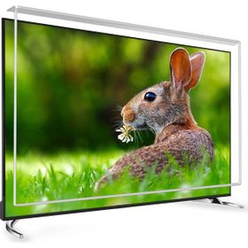 Armor 70 inç 178 cm TV Ekran Koruyucu