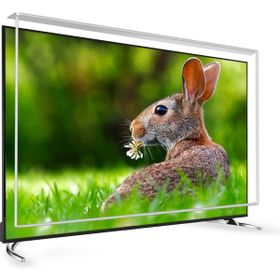 Armor 70 inç 178 cm TV Ekran Koruyucu