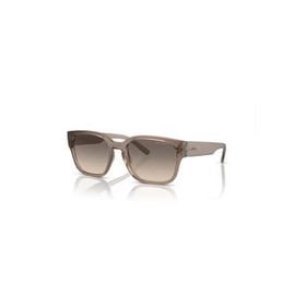 Arnette 0AN4325 290613 54 Erkek Güneş Gözlüğü
