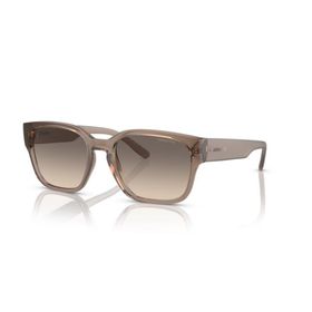 Arnette 0AN4325 290613 54 Erkek Güneş Gözlüğü
