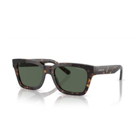 Arnette 0AN4334 12227153 Erkek Güneş Gözlüğü