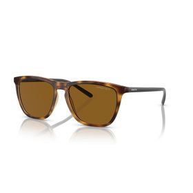 Arnette 4301 277083 55 Erkek Güneş Gözlüğü