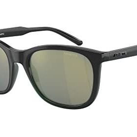 Arnette 4307 2837/2 53 Unisex Güneş Gözlüğü