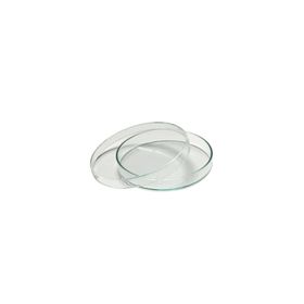 Aropi Plastik Steril Aseptik 90 x 15 mm 56 Adet Petri Kabı Kutusu