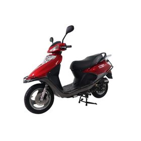 Arora Scooter Çelik Elektrikli Bisiklet
