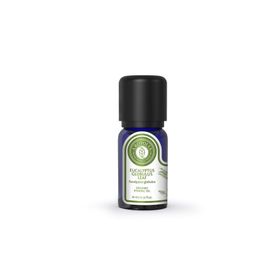 Arotolia 5 ml Okaliptus Uçucu Yağı