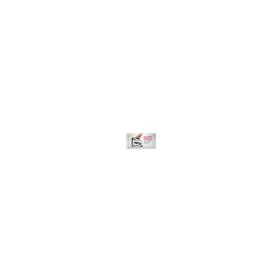 Arrow TT21 6-10mm Mekanik Zımba Tabancası