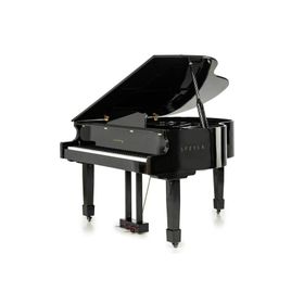 Arsenberg Speyer AGP150B Siyah Grand Piyano