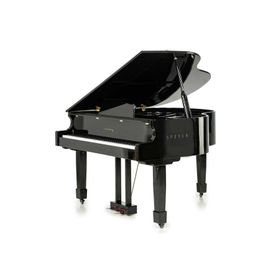 Arsenberg Speyer AGP150B Siyah Grand Piyano