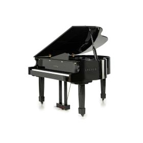 Arsenberg Speyer AGP150B Siyah Grand Piyano