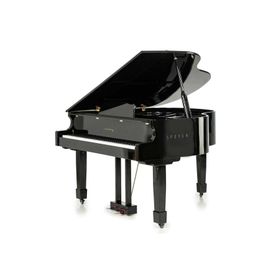 Arsenberg Speyer AGP150B Siyah Grand Piyano