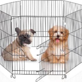 Arspolo 75 70 Metal Köpek Kedi Oyun Alanı Çiti