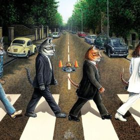 Art 1000 Parça Kedi Yolu Puzzle