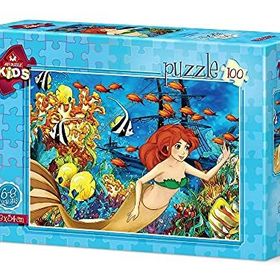 Art Çocuk Batık Gemi 100 Parça Puzzle