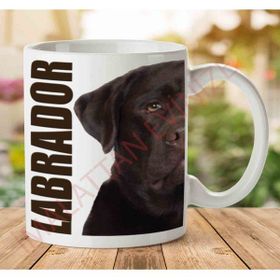 Art Hediye 1-1117 Labrador Köpek İki Tarafı Baskılı Kupa Bardak
