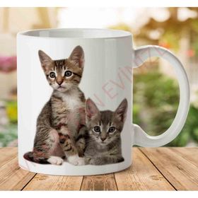 Art Hediye A2424 Kedi Yavrusu İki Tarafı Baskılı Kupa Bardak