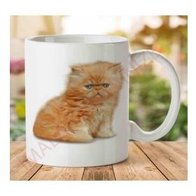 Art Hediye A2427 Kedi Yavrusu İki Tarafı Baskılı Kupa Bardak
