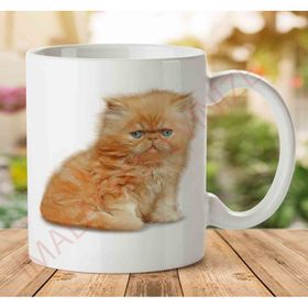 Art Hediye A2427 Kedi Yavrusu İki Tarafı Baskılı Kupa Bardak
