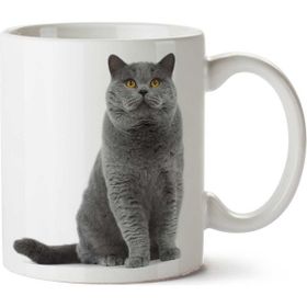 Art Hediye British Shorthair Kedi İki Tarafı Baskılı Kupa