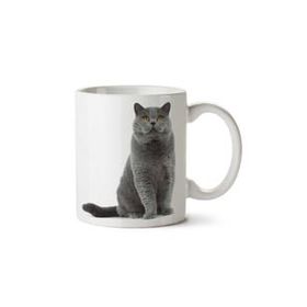 Art Hediye British Shorthair Kedi İki Tarafı Baskılı Kupa