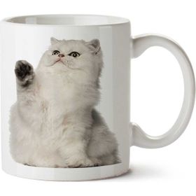 Art Hediye Cat British Kedi Coon Ragdoll Cat İki Tarafı Baskılı Kupa Bardak