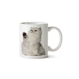 Art Hediye Cat British Kedi Coon Ragdoll Cat İki Tarafı Baskılı Kupa Bardak