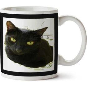 Art Hediye Ditongo Cat Kara Kedi İki Tarafı Baskılı Kupa