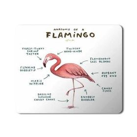 Art Hediye Flamingo Anatomisi Flamingo Anatomy Baskılı 23x19 cm Mouse Pad